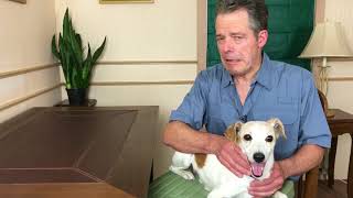 video - Help for Confused Older Dogs