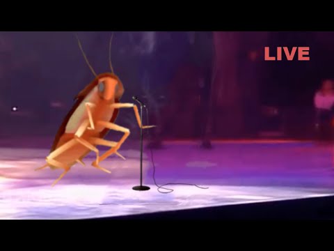 dancing-roach-|-live-in-concert