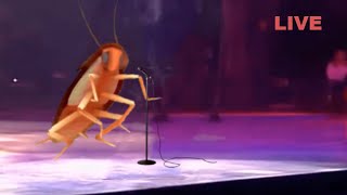 Dancing roach | Live in concert