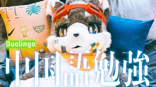 【中国語勉強】わんわん！汪汪！【Duolingo】