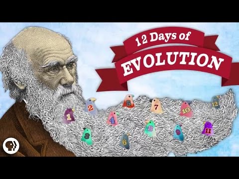 The 12 Days of Evolution - Complete Series!