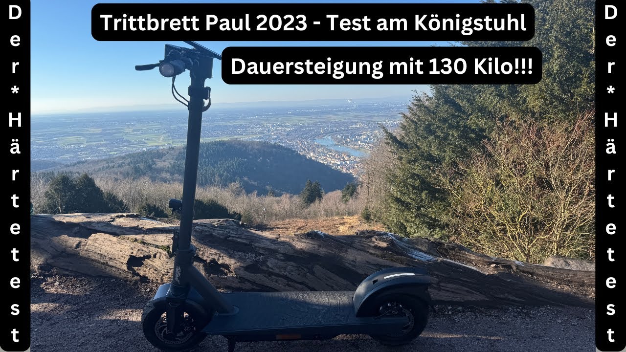 Schne Trittbrett Paul 2023 Bild