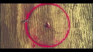 Sri Vidyam || Stunning Invocation of Divine Mother