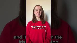 Do You Say The Dinner an Dinnar gaeilge  irish