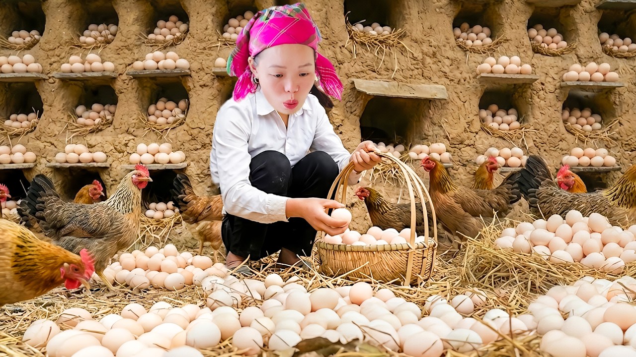 Harvest 1000 Chicken Eggs and Green Vegetables to Sell at Market with Huong