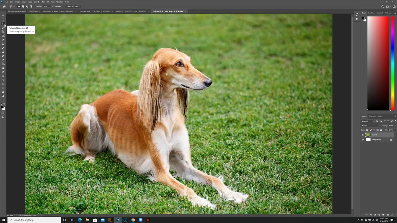 Basics of using Selecting tools and Copy & Paste ( Photoshop 2020 ...