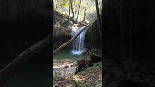 Beautiful Nature️#relaxingvisuals #relaxation #relaxing #naturesounds #watersounds #forestsounds