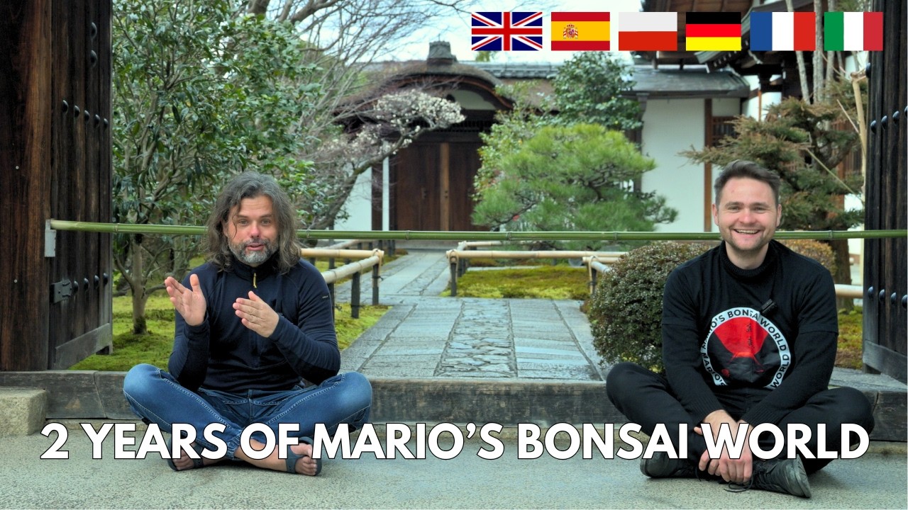 2 года миру бонсай Марио