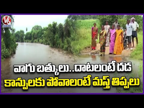 Women Trapped Between Two Streams Due to Heavy Rains | Adilabad | V6 News - V6NEWSTELUGU