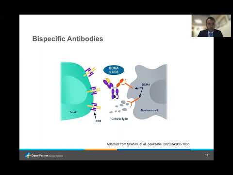 Bispecific Monoclonal Antibodies