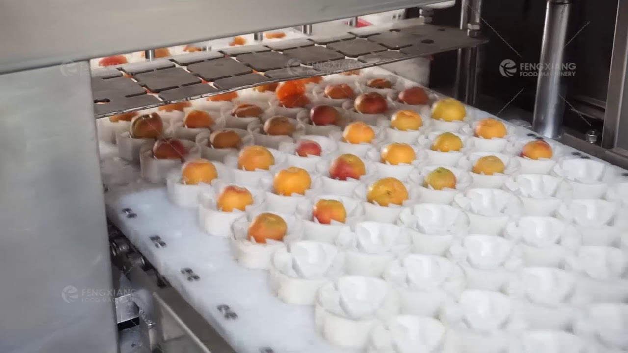 CL-I Apricot Pitting Core Removing Processing Cutting Machine - YouTube