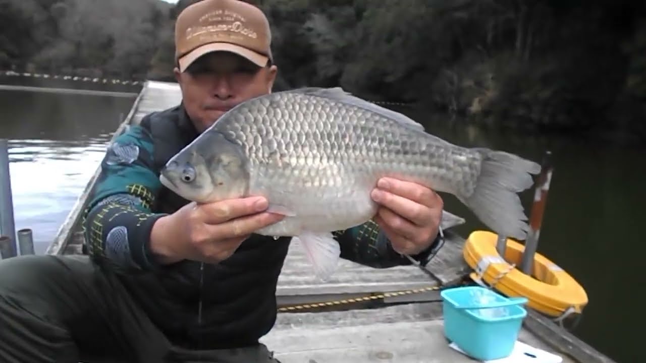 釣堀　菊水　なんと！なんと！大会終了後 山名様　超美へら49.5cm釣り上げ！