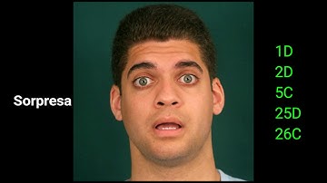 Facial Action Coding System (FACS)