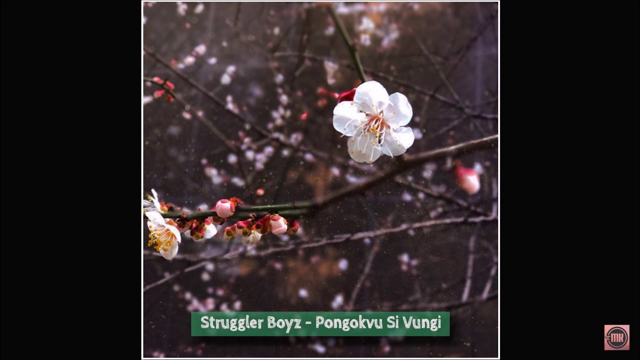 Struggler Boyz   Pongokvu Si Vungi Audio
