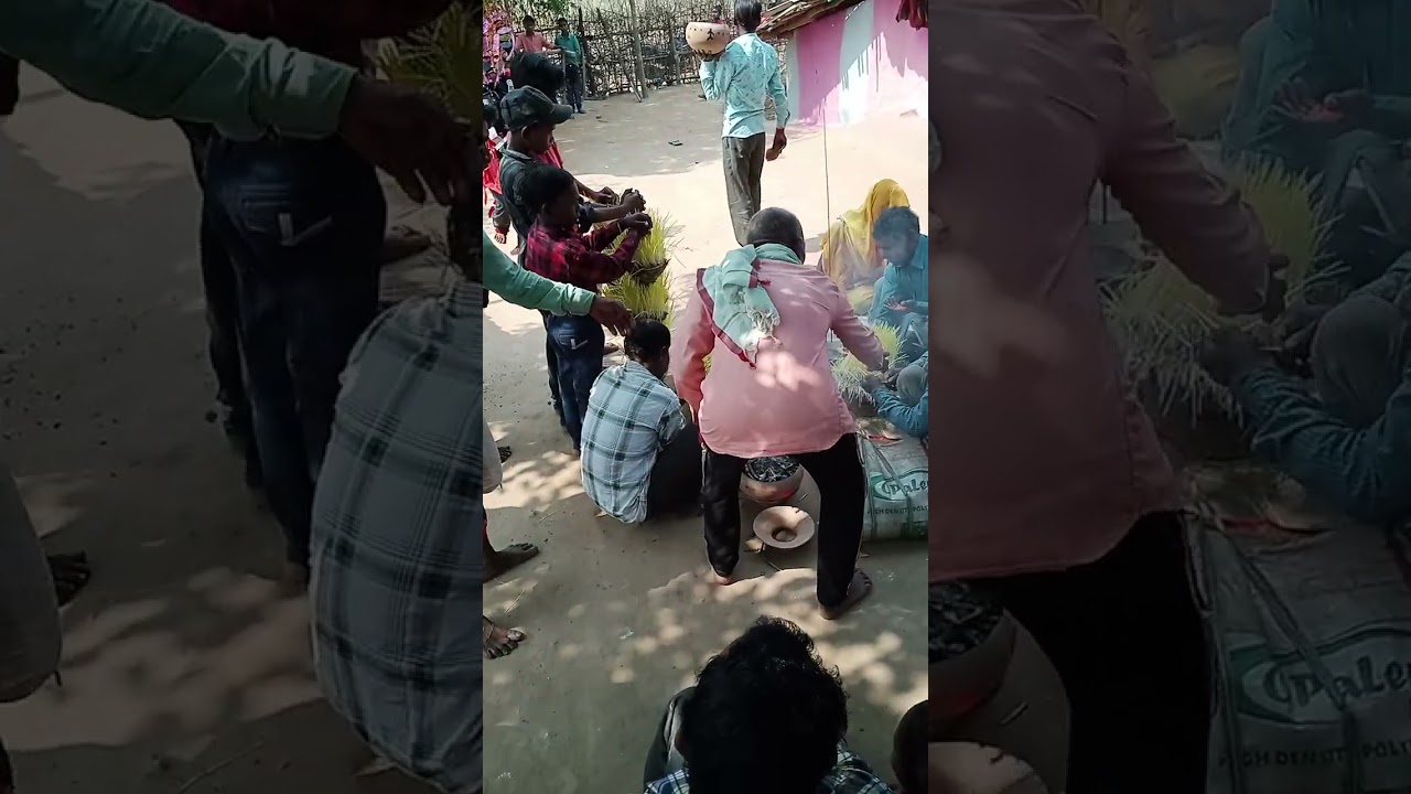 26 अक्तूबर 2024