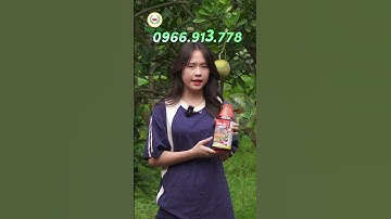 Diệt cỏ Thiên Lôi CỰC MẠNH - 7 ngày cỏ thối tận gốc, rễ