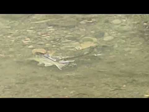 October 15, 2023 October 15, 2023