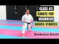 Martial arts for beginners  lesson 3  basic karate cobra kai  strong stances