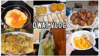 Dawat VlogAj me ny breakfast khud bnaya-Kofta-Beaf Biryani-