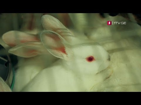 „ფერმა\" - 17 თებერვალს, 12:15 საათზე