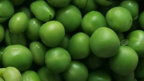 Discovery optical sorter for fresh peas | RAYTEC VISION SpA