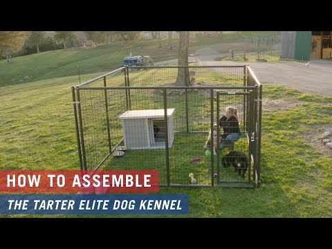 how-to-assemble-the-tarter-elite-dog-kennel