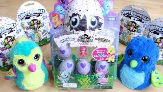 Hatchimals Surprise Wamo うまれてウーモワオ うまれて! ウーモ (Umarete! Woomo) | Hatchimals Wiki | Fandom