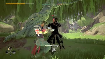 ABSOLVER: My first combat trial