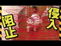 レーザーセキュリティを通り抜けたい猫VS絶対通さない主【関西弁でしゃべる猫】 【猫アテレコ】