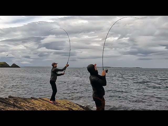 Hard Rock Fishing for Wrasse with Baicasters. 