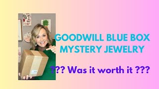 Goodwill Bluebox Mystery Jewelry