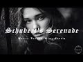 Schubert’s Serenade Turned Into an Epic Metal Ballad (You Won’t Expect This)