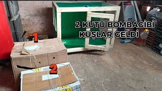 2 KUTU BOMBAGİBİ KUŞLAR.GELDİ?