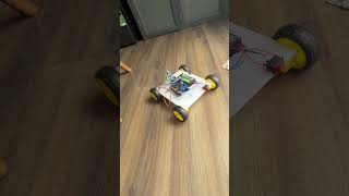Obstacle Avoiding Robot