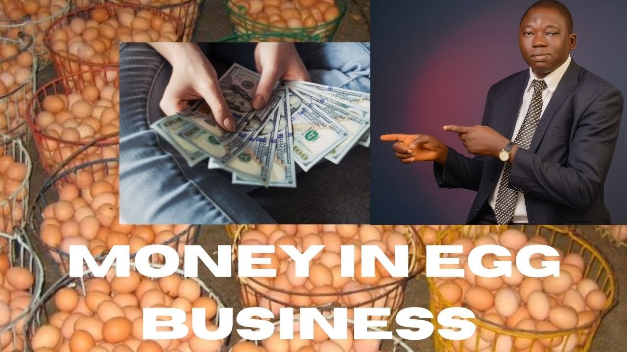 Why Egg Business is a big money spinning business - make money from eggs - YouTube