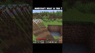 @minecraft  what is this ❓#minecraft