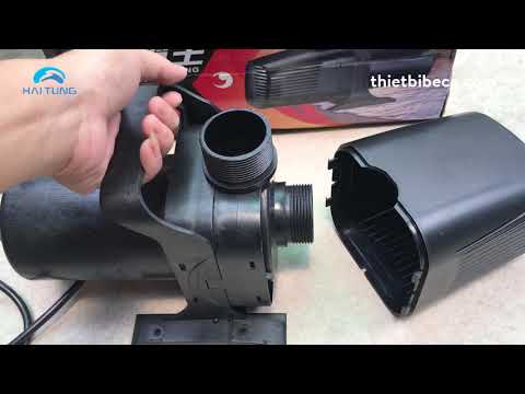 Video Máy Bơm Đẩy Atman MP 15000 - Bơm Hồ Cá Koi, Bơm Bể Hải... - youtube