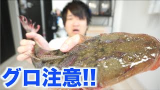 衝撃！！元気なグロい魚をさばいて食べよう！！
