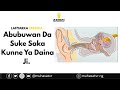 Abubuwan Da Suke Saka Kunne Ya Daina Ji