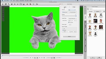 CrazyTalk7 Tutorial - Exporting Image Sequences & Videos