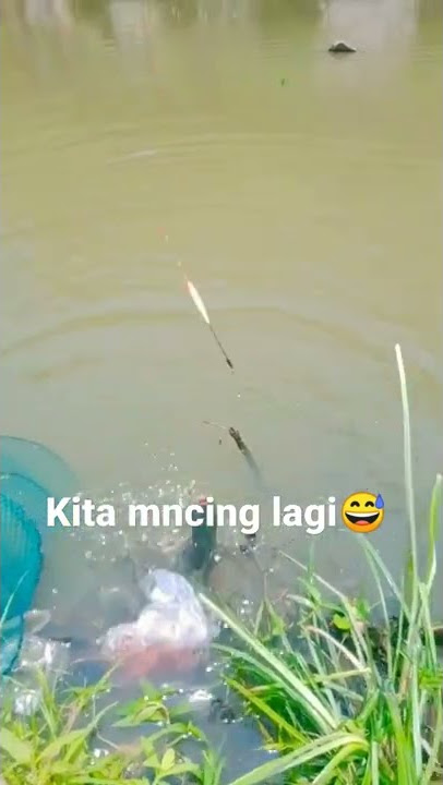 #shorts#nilababon#mncingdikali