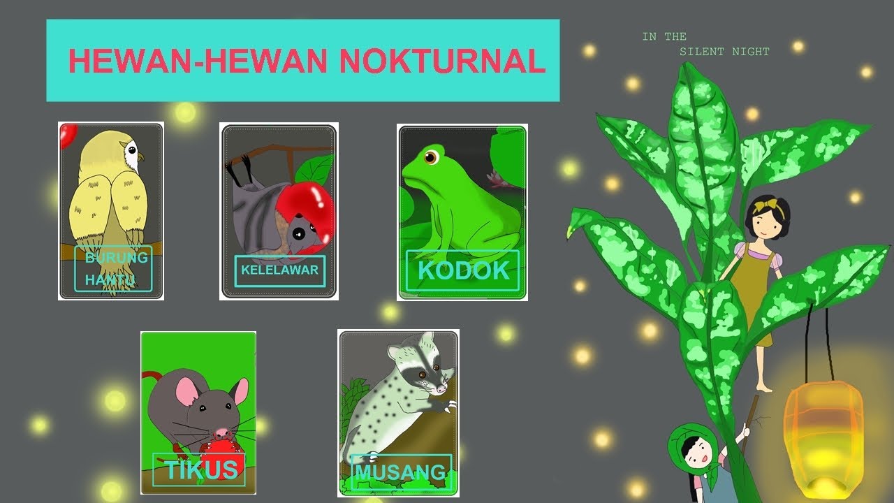 MEMPELAJARI HEWAN-HEWAN NOKTURNAL