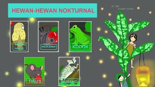 MEMPELAJARI HEWAN-HEWAN NOKTURNAL