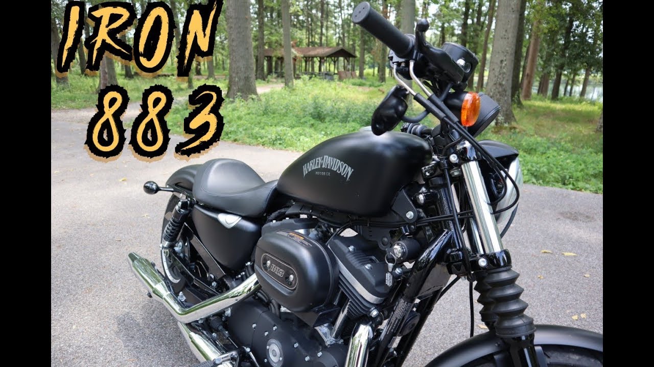 Harley Davidson Iron 883- A Great Beginner Harley