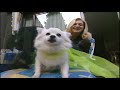Man bijt hond: Dutch Madonna