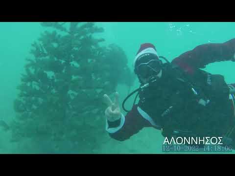 Δήμος Αλοννήσου: Συμβολικός στολισμός Χριστουγεννιάτικου δέντρου στον βυθό!