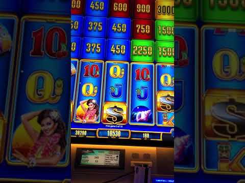Cypress Bayou Casino bonanza block bonus