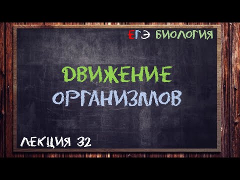 Л.32 | ДВИЖЕНИЕ ОРГАНИЗМОВ | ОБЩАЯ БИОЛОГИЯ ЕГЭ