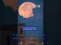 Insane 2025 Harvest Supermoon Photos