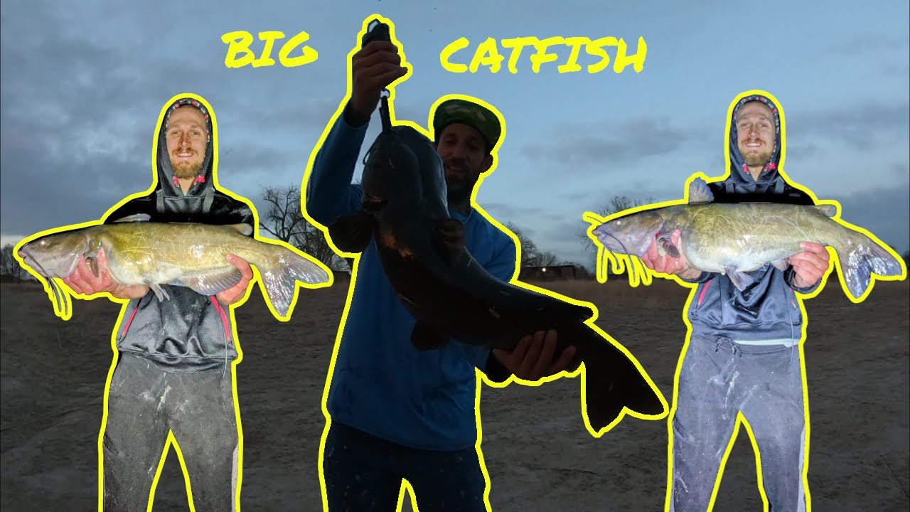 Catching BIG Catfish in Colorado! YouTube